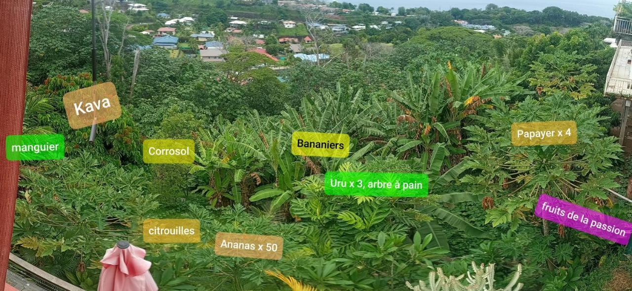 Manava Tahara'a Home Stay Mahina Dış mekan fotoğraf
