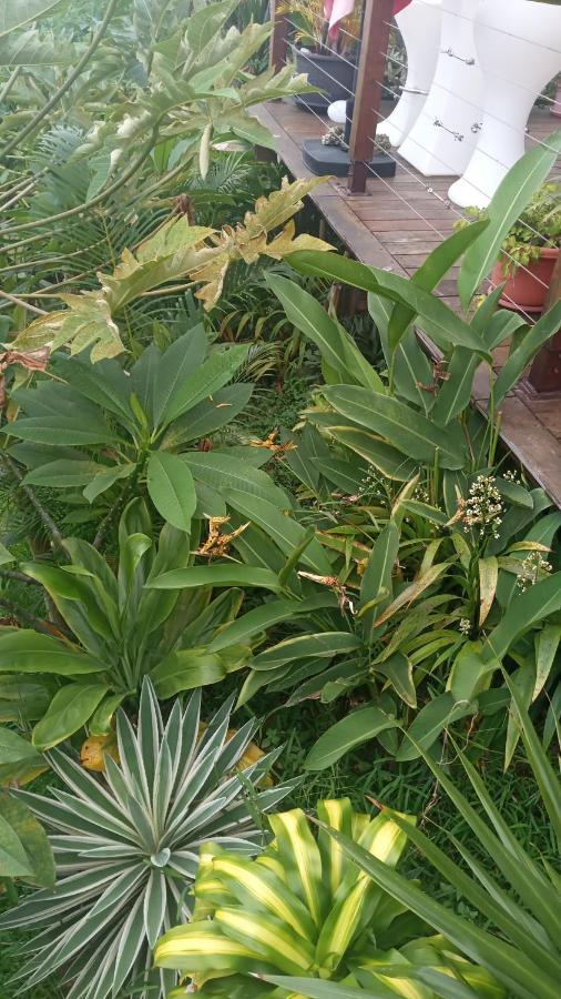 Manava Tahara'a Home Stay Mahina Dış mekan fotoğraf